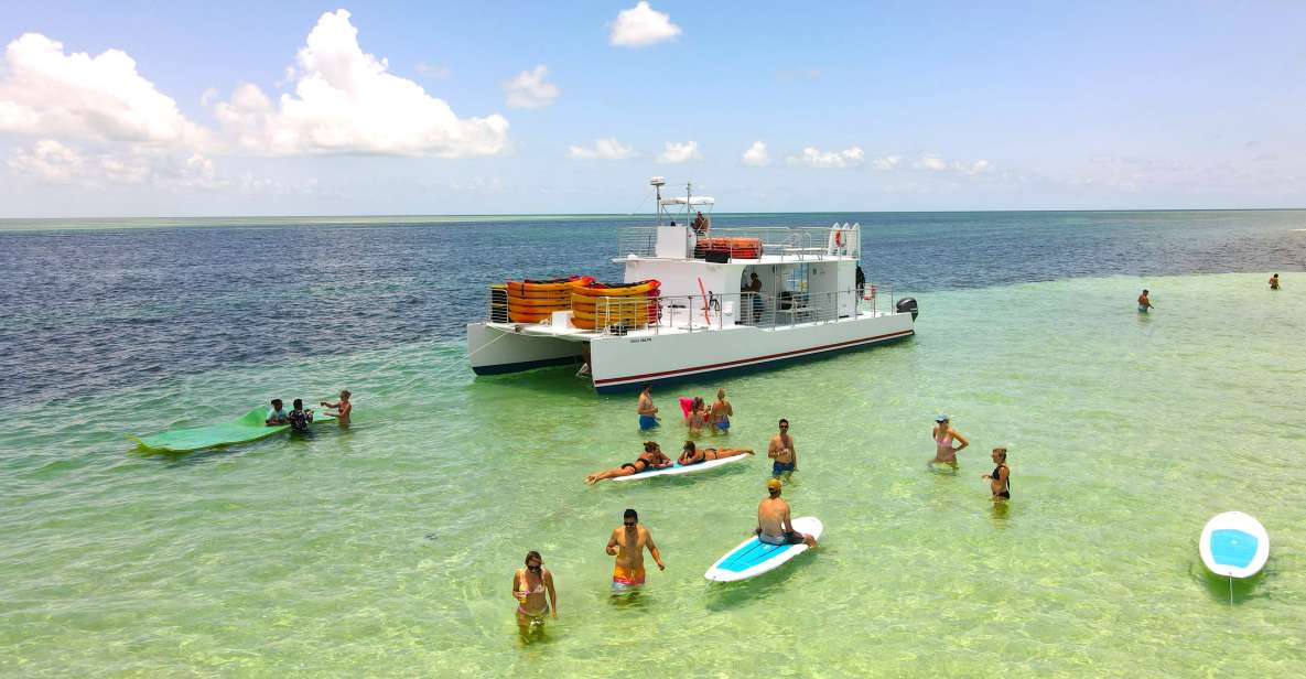 Key West Sandbar Excursion & Dolphin Tour Includes Beer Wine - Experience Highlights