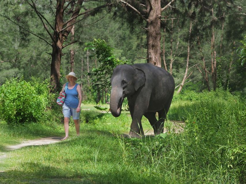 Khao Lak: Bamboo Rafting, Elephants, and Turtle Center Tour - Experience Highlights