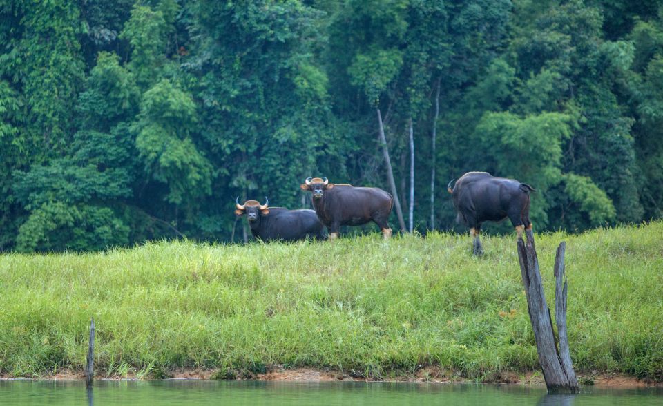 Khao Lak: Cheow Lan Lake Overnight Resort Stay With Meals - Experience Highlights