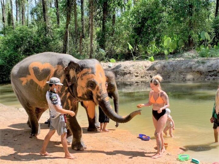 Khao Lak: Elephant Sanctuary Guided Tour - Tour Experience