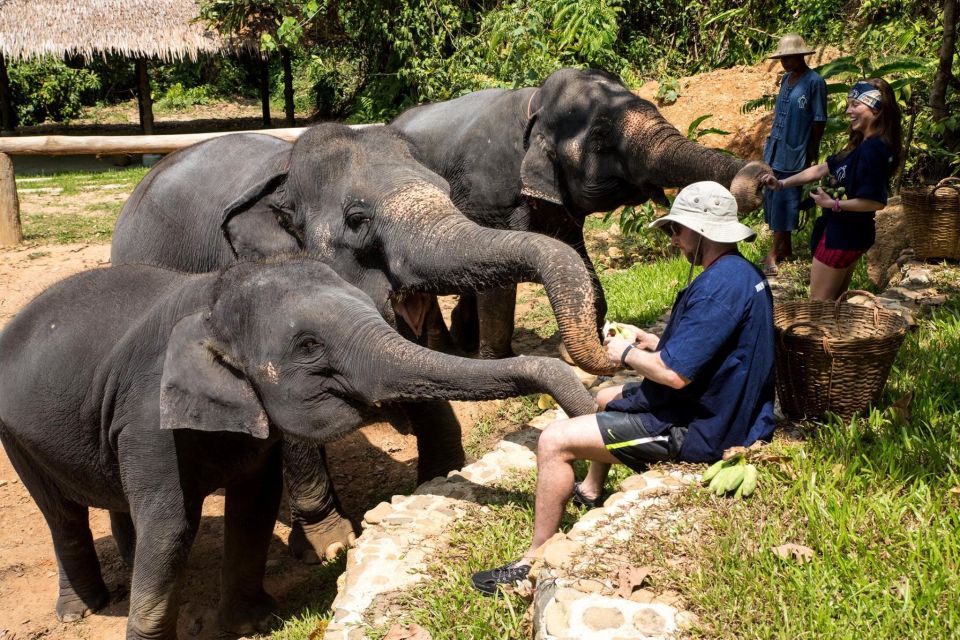 Khao Lak: Ethical Elephant Sanctuary Experience - Experience Highlights