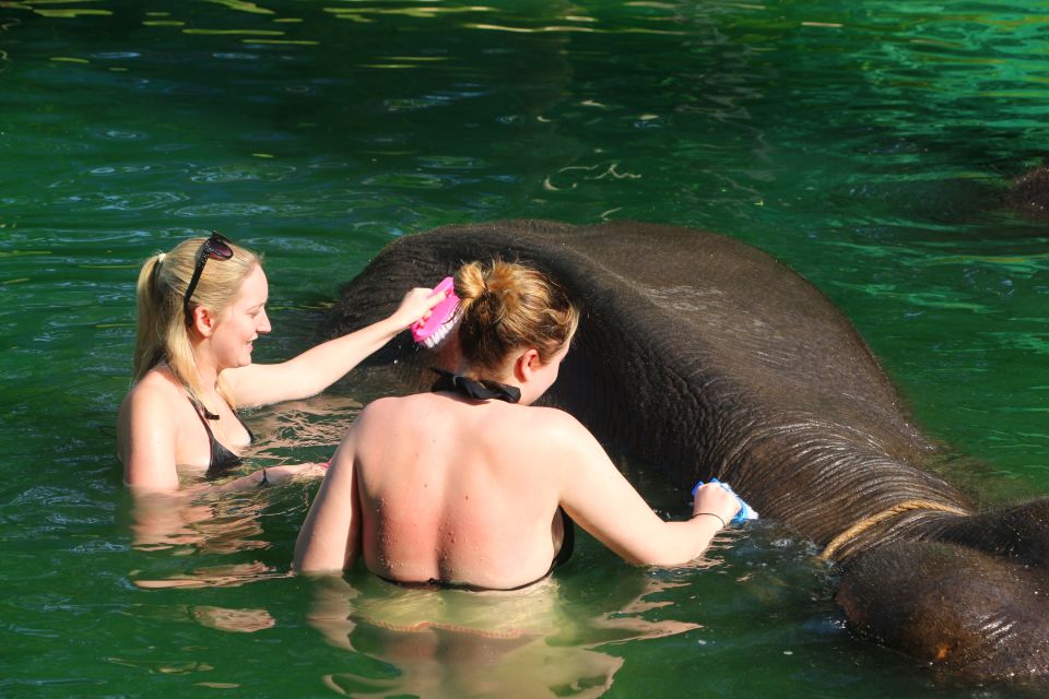 Khao Lak: Rafting, Elephant Bathing & Sea Turtle Center Tour - Experience Highlights