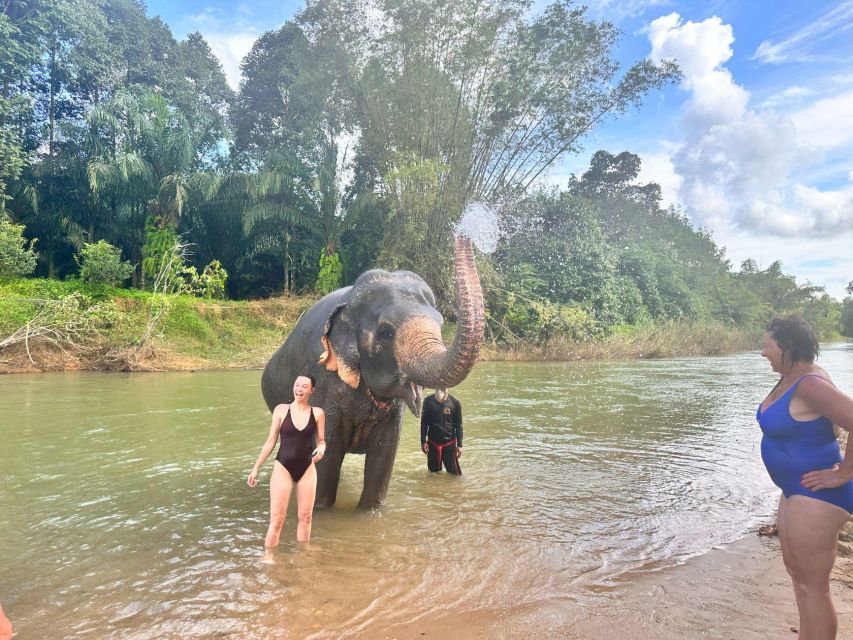 Khao Sok: Elephant Day Care, Cooking Class, & Bamboo Raft - Activity Highlights