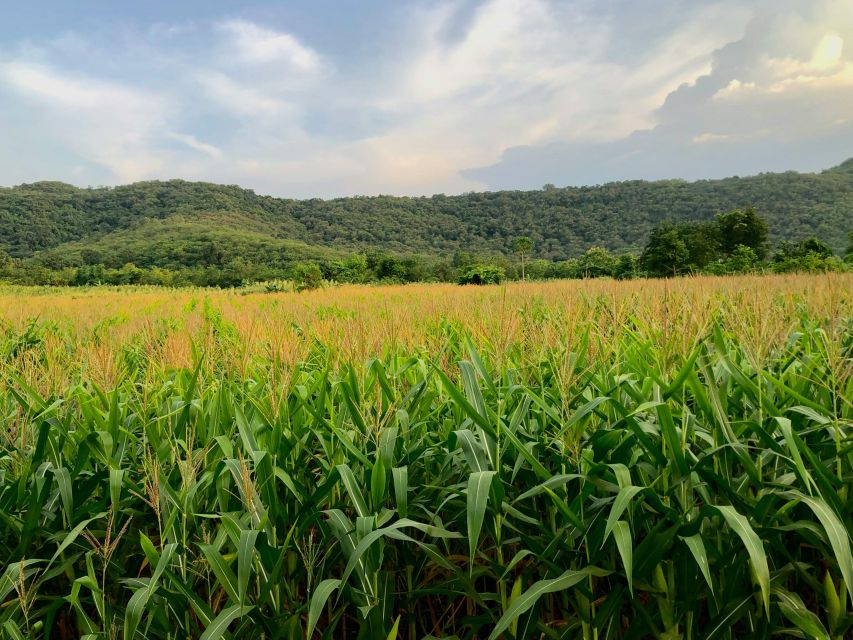 Khao Yai National Park - 1 N Camping - Essential Gear and Supplies Checklist