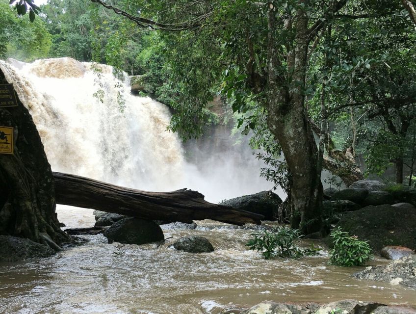 Khao Yai National Park Jungle Trekking Day Trip From Bangkok - Experience Highlights