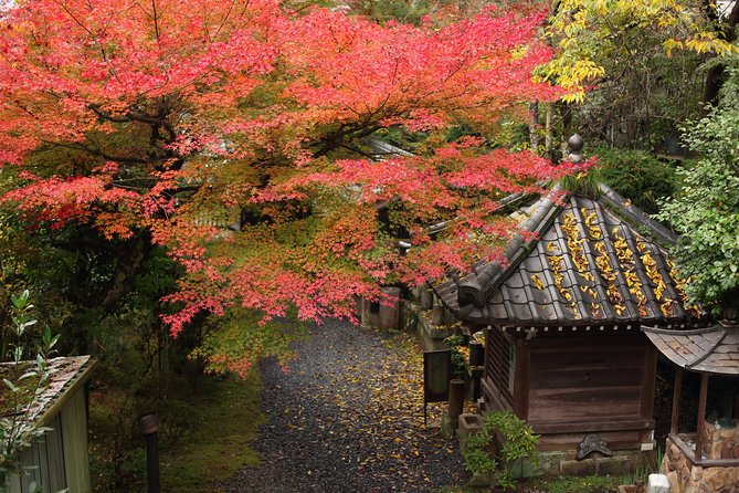 Kimono and Authentic Tea Ceremony in Miyajima - Location and Meeting Point