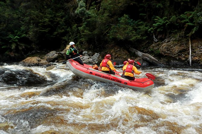 King River Gorge White-Water Rafting Day Tour From Queenstown (Mar ) - Itinerary