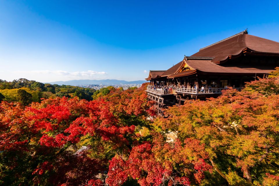 Kiyomizu Temple and Backstreet of Gion Half Day Private Tour - Booking Information