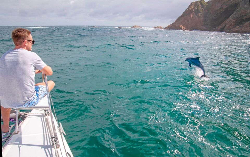 Knysna: #1 Private Scenic Cruise Aboard a Luxury Catamaran - Experience Highlights