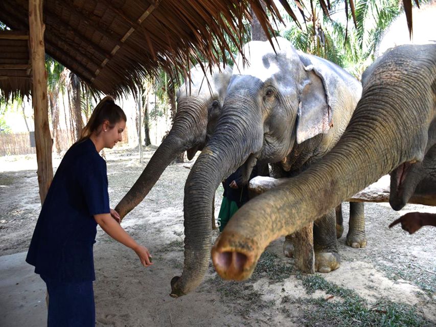 Ko Lanta Yai: Half-Day Ethical Elephant Sanctuary Tour - Customer Experience