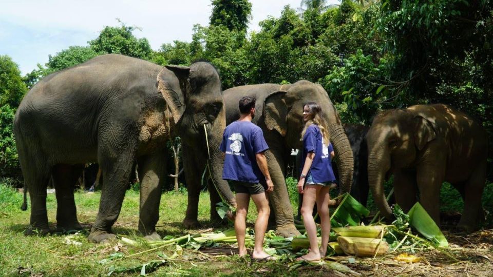 Koh Samui: 4x4 Sightseeing Safari & Elephant Sanctuary Tour - Itinerary Highlights