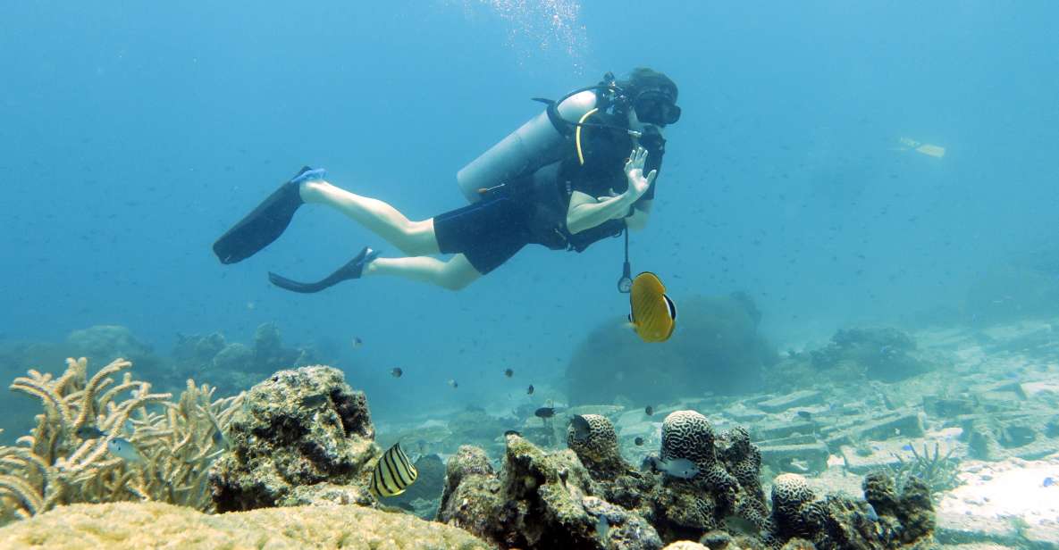 Koh Samui: Day Trip Diving at Sail Rock - Accessibility Guidelines for Divers