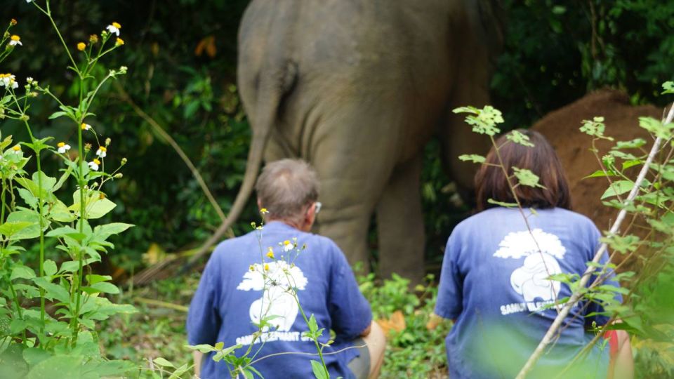 Koh Samui: Half-Day Ethical Elephant Sanctuary With Mud Spa - Experience Highlights