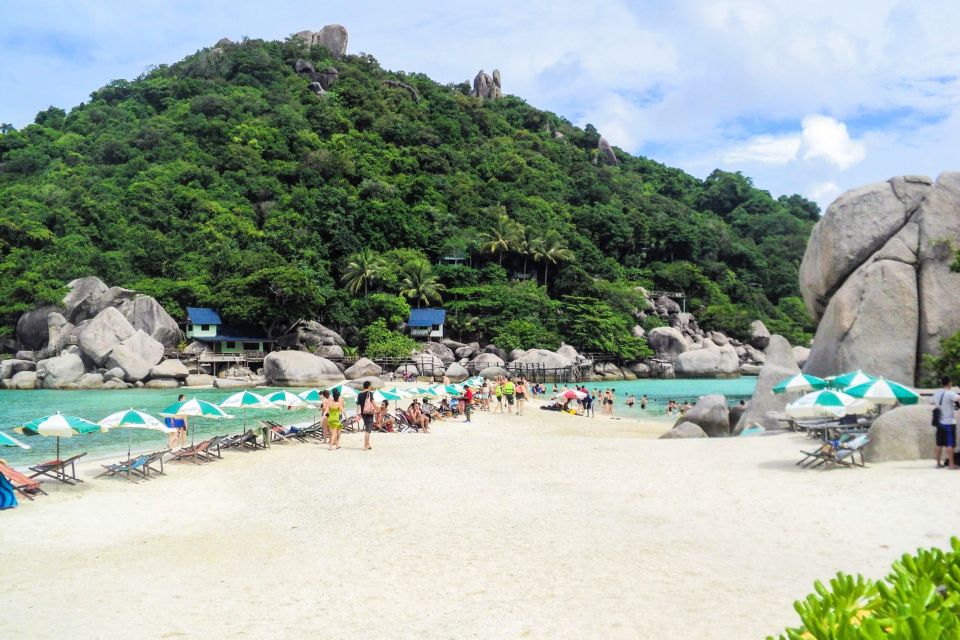 Koh Samui: Koh Tao and Nangyuan Snorkeling Tour With Lunch - Activity Details