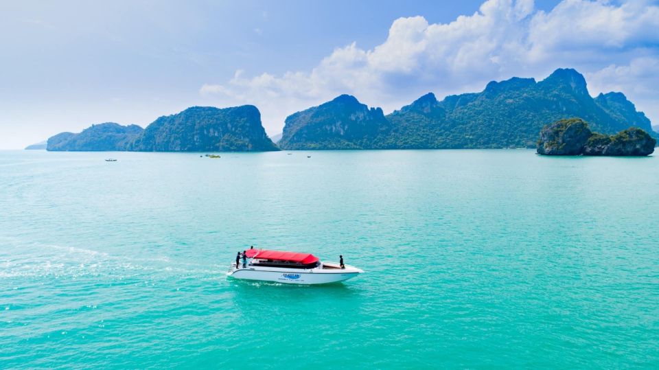 Koh Samui: Pink Dolphin Spotting & Pig Island Speedboat Tour - Highlights of the Tour