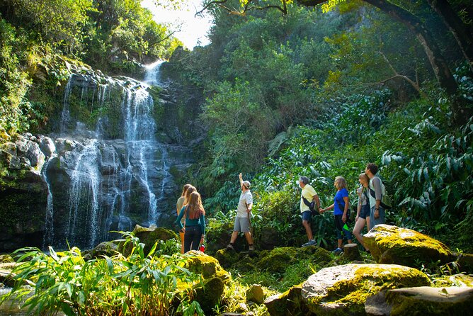 Kohala Waterfalls Small Group Adventure Tour - Tour Details