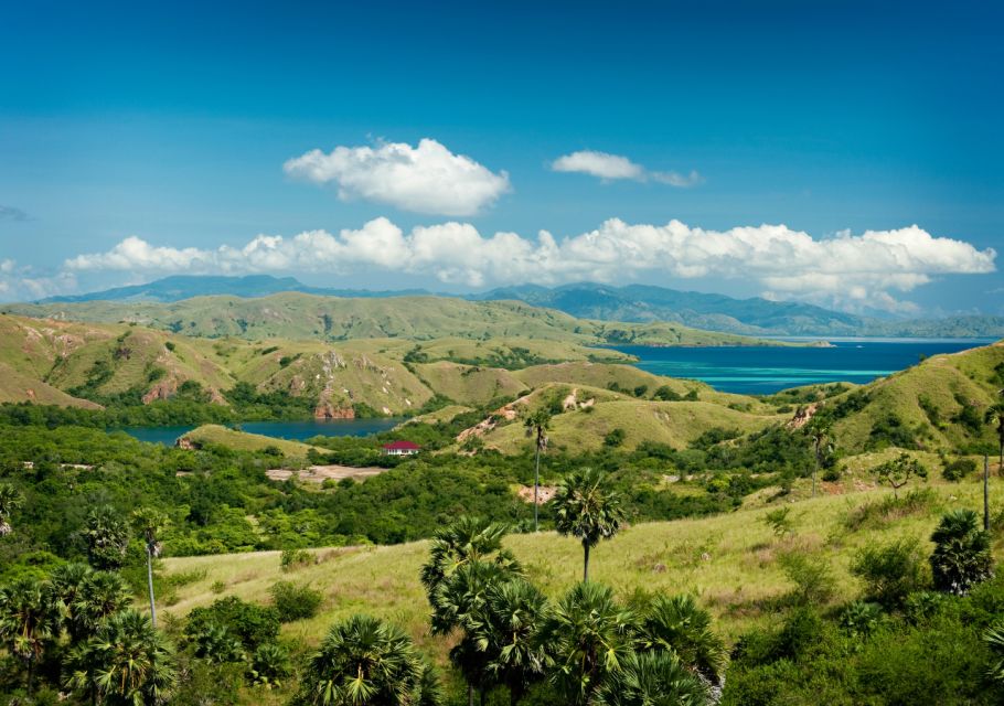 Komodo Island: Private 3-Day Tour With Boat & Hotel Stay - Itinerary Highlights