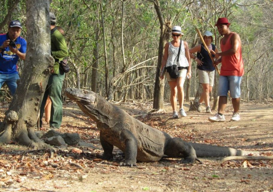 Komodo Islands: 2D1N Speedboat Tour, Land Tour & Hotel Stay - Detailed Itinerary