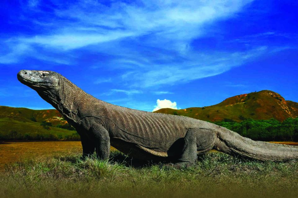 Komodo Islands: Private 2-Day Tour on a Wooden Boat - Pickup and Accommodation Details