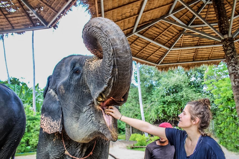 Krabi: Ao Nang Elephant Sanctuary Half-Day Tour - Booking Information