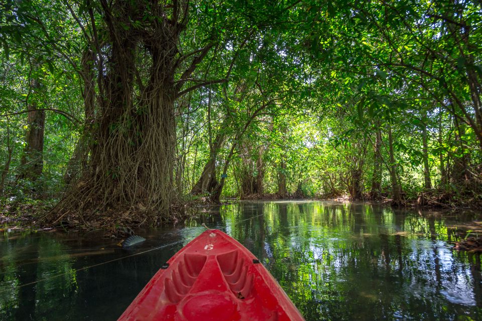 Krabi: Crystal Lagoon Kayaking and Horseback Riding Day Trip - Experience Highlights