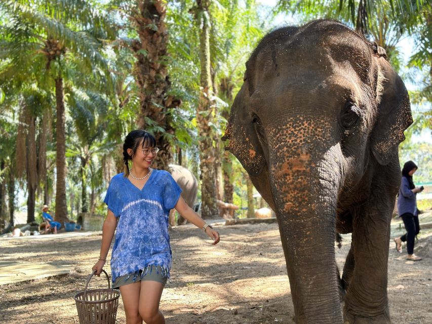 Krabi: Elephant Bathing Session at Krabi Elephant Shelter - Experience Highlights