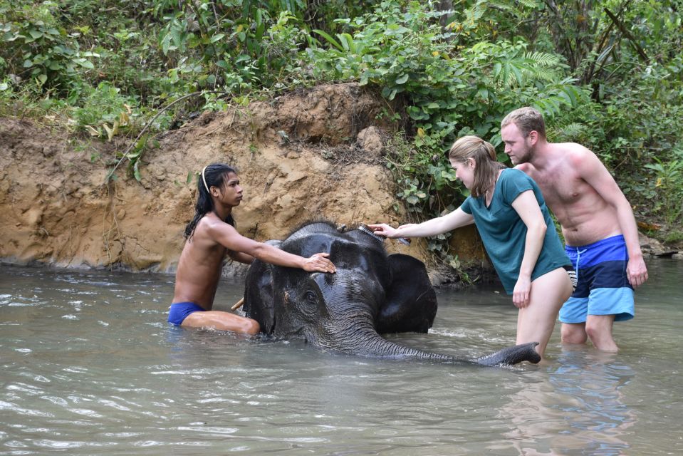 Krabi: Tour of Elephant Care House and Tiger Cave Temple - Experience Highlights at Elephant Care House