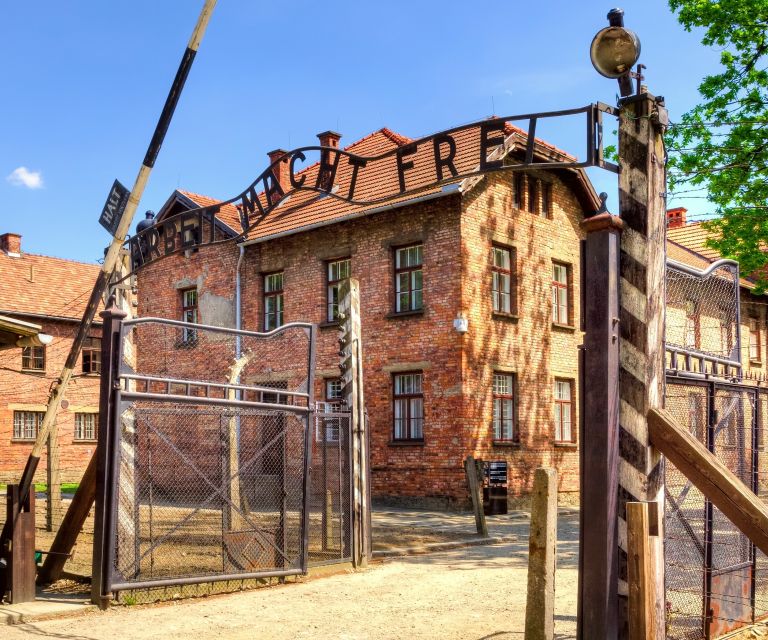 Krakow: Auschwitz-Birkenau and Wieliczka Salt Mine Day Trip - Experience