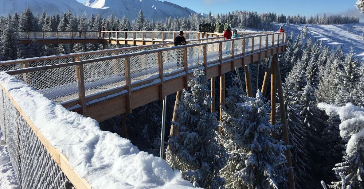 Krakow: Slovakia Treetop Walk & Zakopane With Hot Springs - Activity Duration and Flexibility