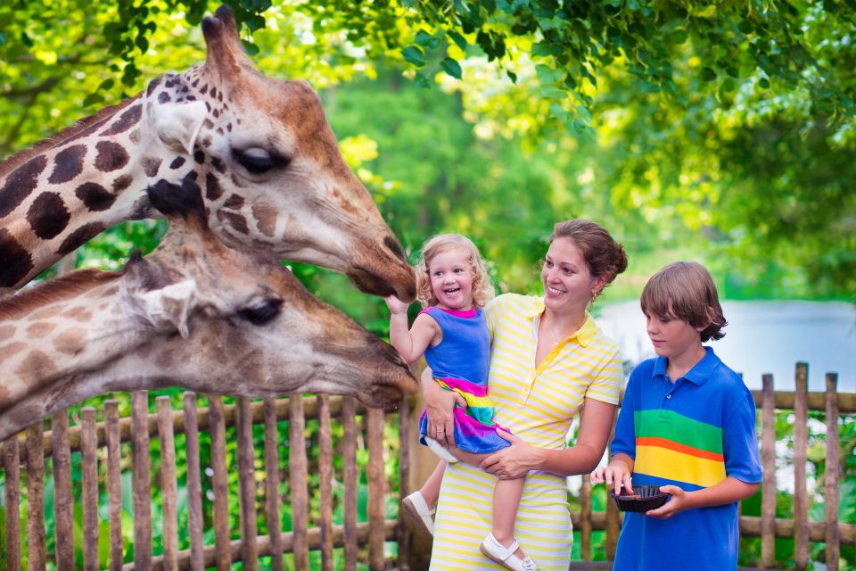 Krakow: Zoo Tour With Private Transport and Tickets - Experience Highlights