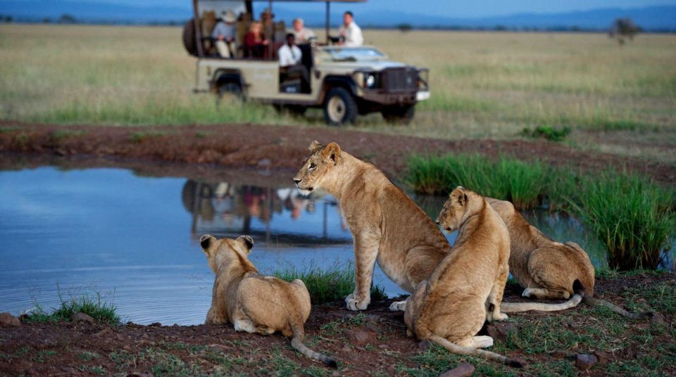 Kruger National Park 3 Day Tour From Johannesburg - Experience Highlights