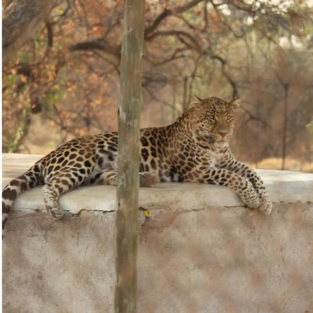 Kruger National Park Safari - 10days - Live Tour Guide Information
