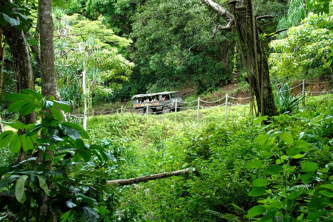 Kualoa Ranch - Jungle Expedition Tour - Booking Information