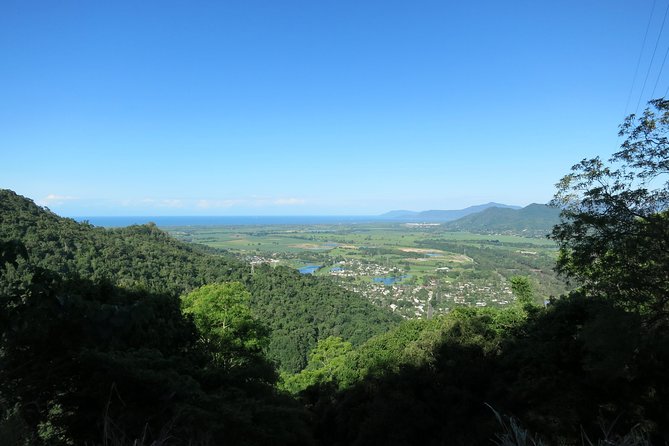 Kuranda Day Trip From Port Douglas Upgrade to Skyrail & Scenic Train Available - Upgrade Options Available