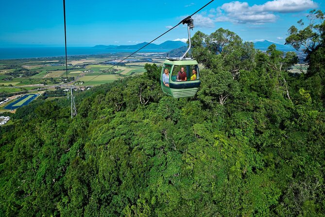 Kuranda Small Group Day Tour via Skyrail & Kuranda Scenic Rail - Traveler Reviews and Feedback