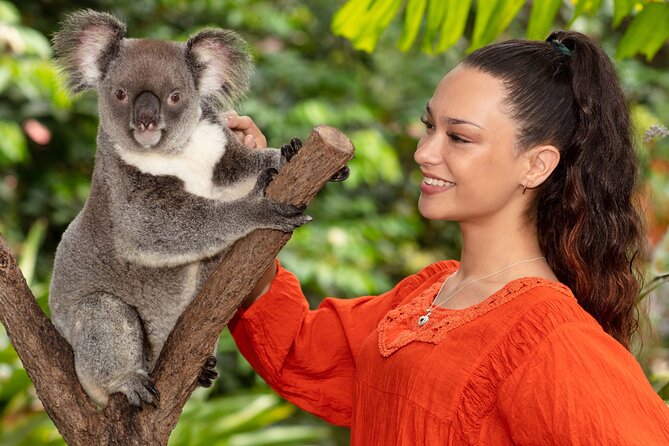Kuranda Wildlife Experience Deluxe Multi Attraction Pass - Booking Details and Pricing