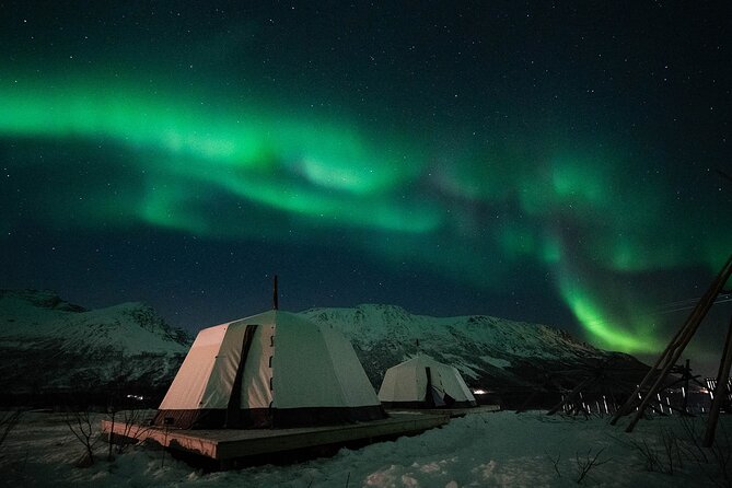 Kvaloya Northern Lights Tour, Reindeer Sledding From Tromso (Mar ) - Booking Information