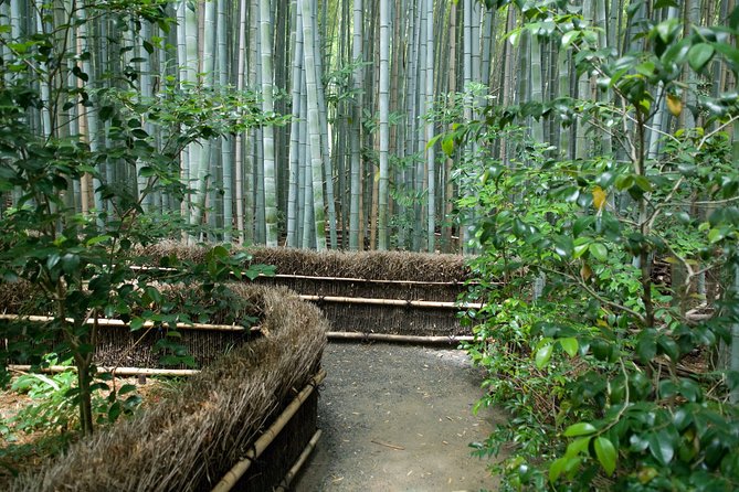 Kyoto Bamboo Forest Electric Bike Tour - Reviews Breakdown and Source