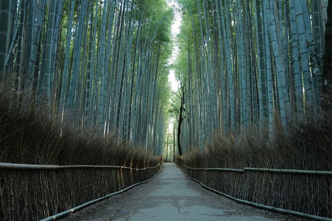 Kyoto Early Morning Tour With English-Speaking Guide - Cancellation Policy