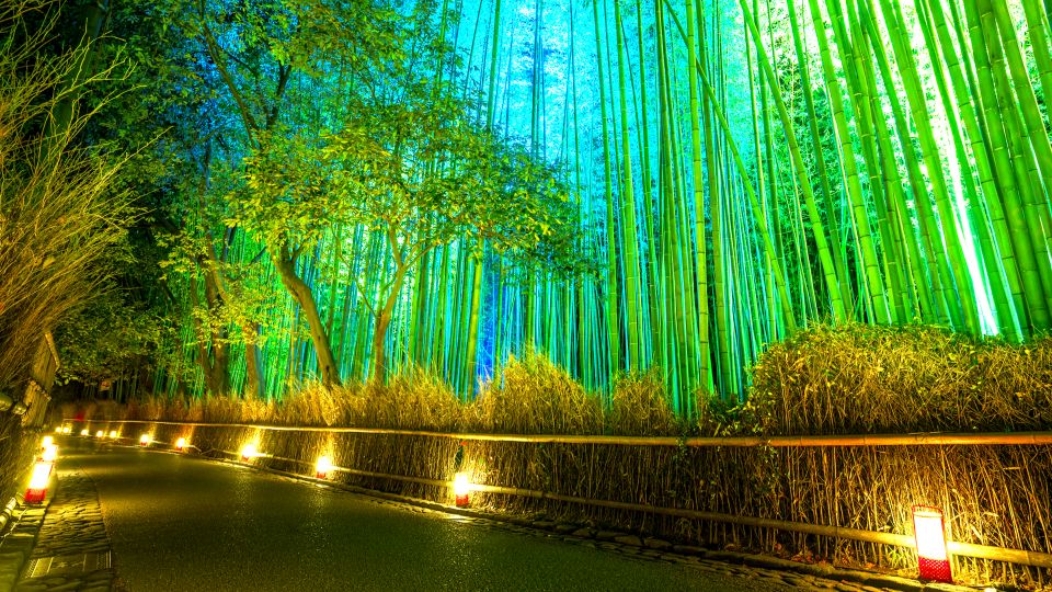 Kyoto: Japanese Gardens Private Customizable Tour - Tour Confirmation
