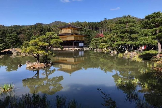 KYOTO-NARA Custom Tour With Private Car and Driver (Max 13 Pax) - Private Car and Driver Details