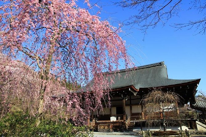 Kyoto Sagano Bamboo Grove & Arashiyama Walking Tour - Minimum Participants and Transportation