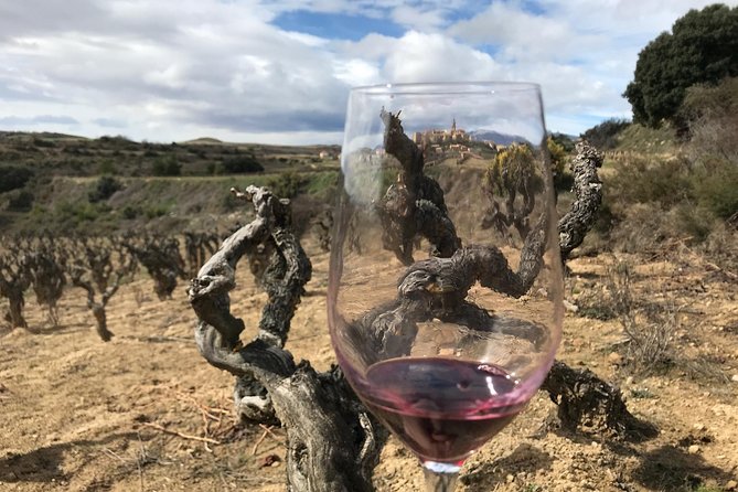 La Rioja Boutique Wine Tour - 2 Wineries & Picnic Lunch (From Bilbao) - Cancellation Policy Details