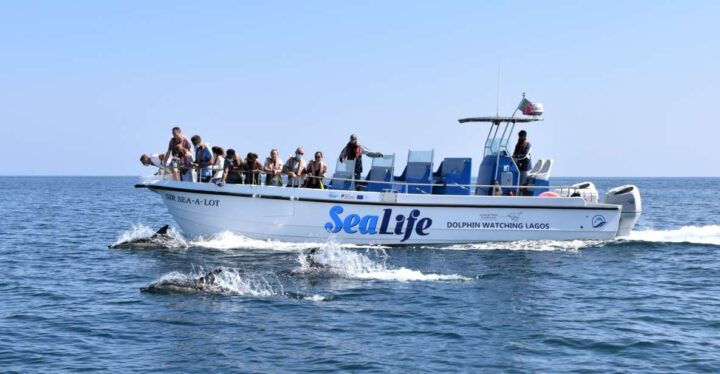 Lagos: Dolphin Watching With Marine Biologists - Booking Information