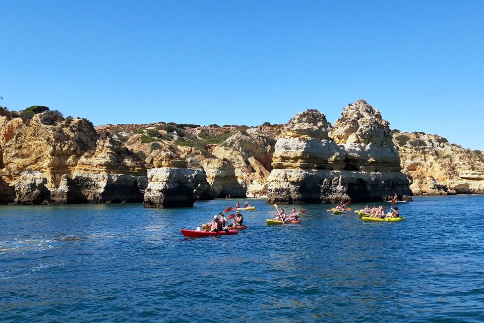 Lagos: Guided Kayak Tour - Experience Highlights