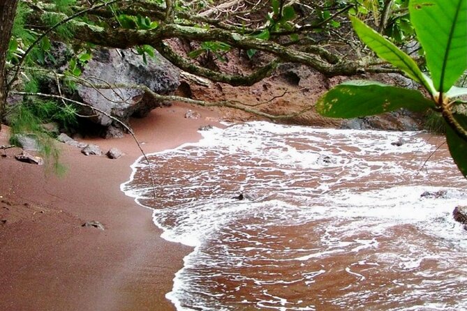 Lahaina Small-Group Road to Hana Tour (Mar ) - Meeting Point and Logistics