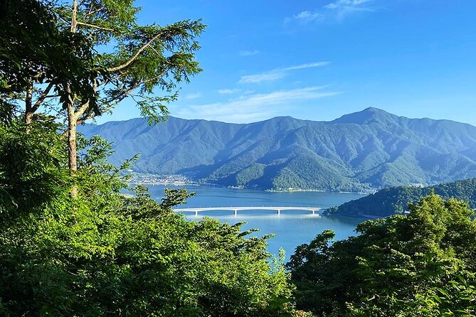 Lake Kawaguchiko Bike and Hike Tour - Review Ratings