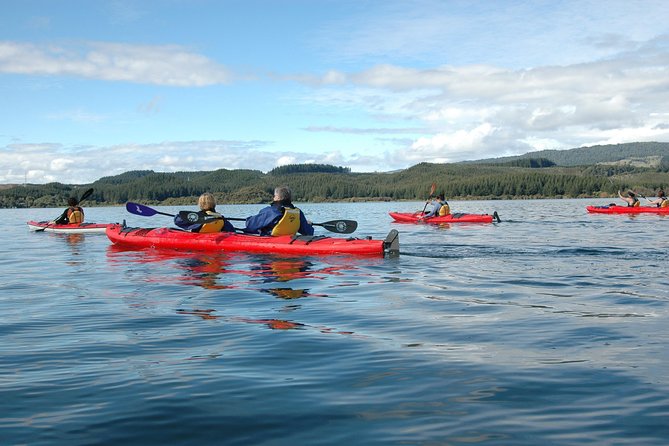Lake Rotoiti Guided Hot Pools Kayak Trip - Customer Reviews