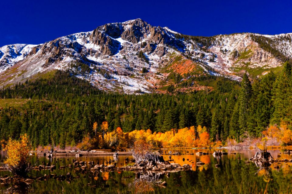 Lake Tahoe: Half-Day Photographic Scenic Tour - Tour Experience