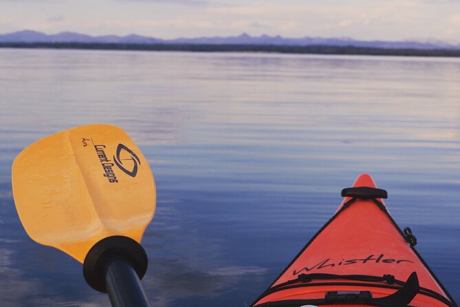 Lake Yellowstone Half Day Kayak Tours Past Geothermal Features - Itinerary Highlights